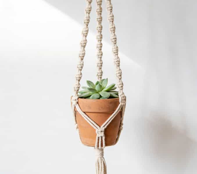 DIY macrame plant hanger kit with cotton cord