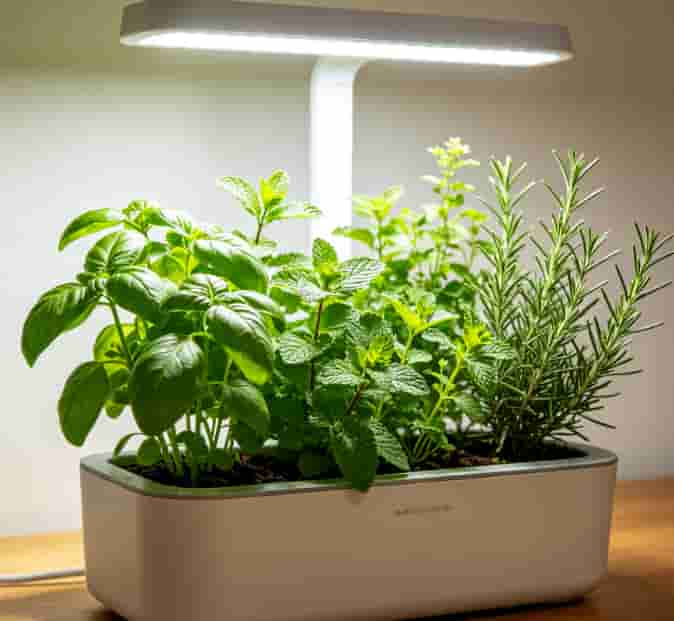 Indoor smart herb garden tabletop with LED grow light self-care graduation gift