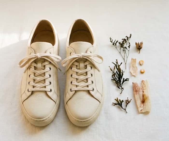 Sustainable plant-based corn leather casual sneakers on clean background